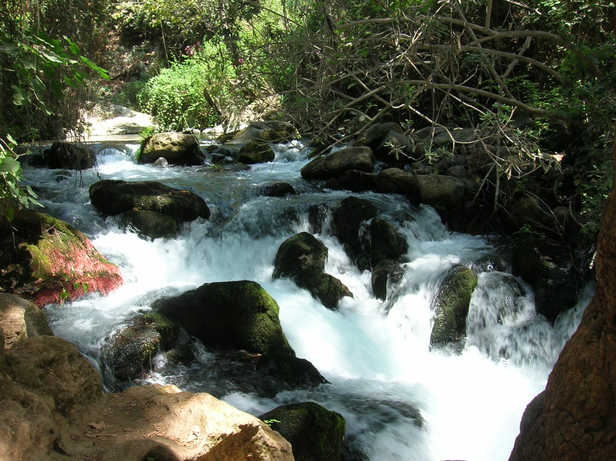 Israel_-_Banias_waterfalls_001